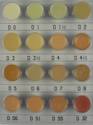 Dermacolor Mini Palette D4