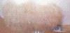 Picture of Kryolan 09202 Chin Beard B