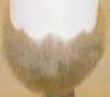 Picture of Fox 85417 Full Beard