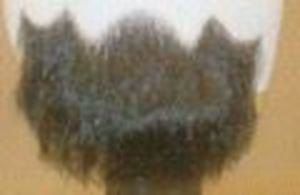 Picture of Fox 85418 Half Beard B3