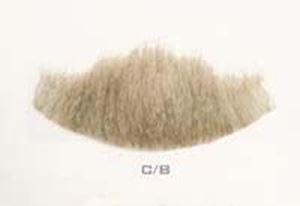Picture of Hairaisers Fake Confederate Chin Beard C/B