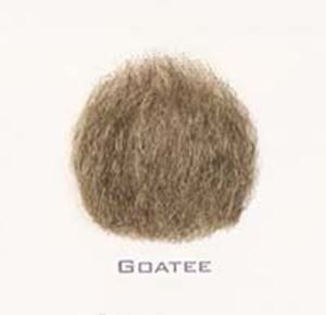 Picture of Hairaisers Goatee Beard
