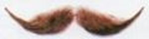 Picture of Pamarco M-4 Brigadier Moustache