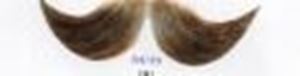 Picture of Hairaisers M/H Handlebar Moustache