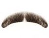 Picture of Hairaisers MD Mercury Moustache