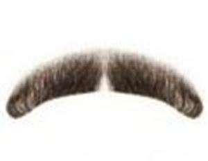 Picture of Hairaisers MD Mercury Moustache