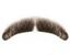 Picture of Hairaisers MD Mercury Moustache