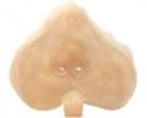 Picture of Grimas - rodent's nose