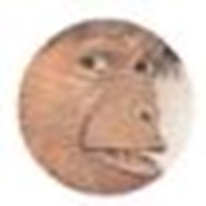 Picture of Grimas - monkey set (54)