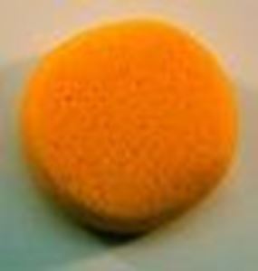 Picture of Grimas sponge