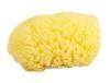 Picture of Kryolan 100% natural sponges