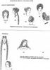 Picture of Roman/Biblical/Mediaeval/Tudor - Sketches