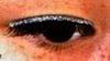 Picture of Pamarco DM1 Diamonte Lashes