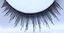 Picture of Pamarco TV2 Eyelashes