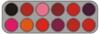 Picture of Grimas Lipstick 12 colour palette - LF
