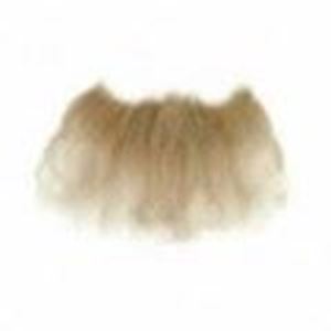 Picture of Fox 40115 Long White Full Beard