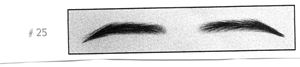 Picture of Kerling International Eyebrows - #25