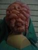 Picture of 18th Century Wig Back View - DSC 00138