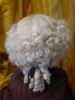 Picture of Gent's Wig 18th Cent - DSC 00389