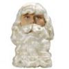 Picture of Father Christmas Wig & Beard Superior  BW018