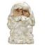 Picture of Father Christmas Wig & Beard Superior  BW018