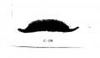 Picture of Pamarco C-104 Moustache