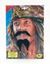 Picture of B'tol Nov Ltd Caribbean Pirate moustache and beard
