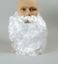Picture of British Father Christmas Beard - MB034