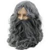 Picture of Moses Wig & Beard - BW573