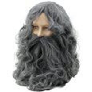 Picture of Moses Wig & Beard - BW573