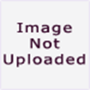 Picture of 81460/21 Fox No. 6 Lip Brush