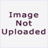Picture of 81460/32 Fox Rounded Eye Blender Brush