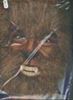 Picture of Bristol Novelty Ltd - Instant Werewolf