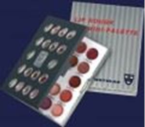 Picture of Kryolan Mini Lip Rouge Palette - LMP111