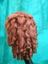 Picture of Edwardian Ringlets - Back View