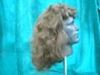 Picture of Cavalier Wig - Views 1 & 2