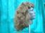 Picture of Cavalier Wig - Views 1 & 2