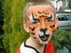 Picture of Tiger