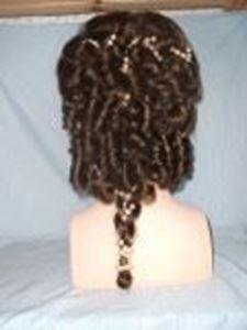 Picture of Ancient Greek/Victorian Wig DSCF 477