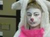 Picture of Rabbit