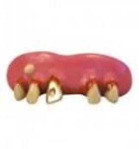 Picture of Sp. Offer - Billy Bob Teeth - Family Jewels