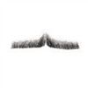 Picture of Hairaisers M/L Clark Gable Moustache