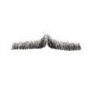 Picture of Hairaisers M/L Clark Gable Moustache