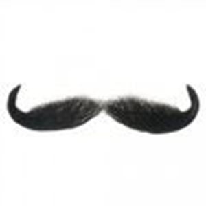 Picture of Hairaisers Kaiser Moustache Style M/N