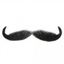 Picture of Hairaisers Kaiser Moustache Style M/N