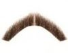 Picture of Hairaisers Inspector Clouseau Moustache F