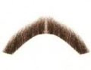 Picture of Hairaisers Inspector Clouseau Moustache F