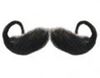 Picture of Hairaisers Rollie Fingers Moustache