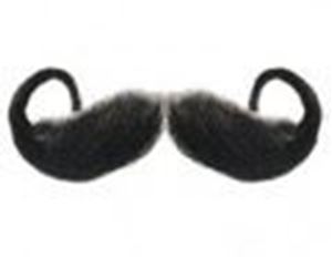 Picture of Hairaisers Rollie Fingers Moustache