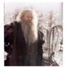 Picture of Hairaisers Moustache and Beard Set